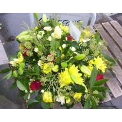 Sympathy 11 - Prices start from £55.00